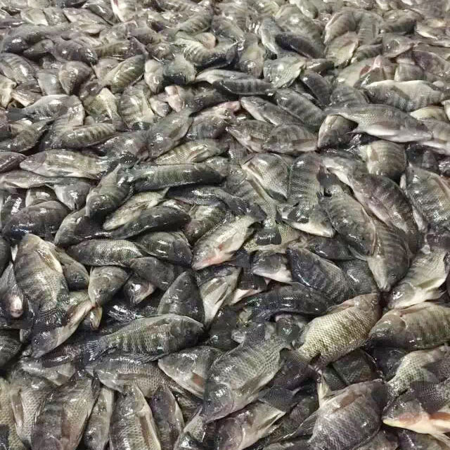 產(chǎn)品名稱