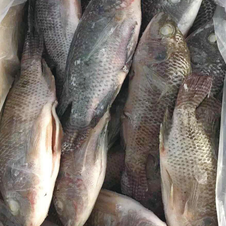 產(chǎn)品名稱