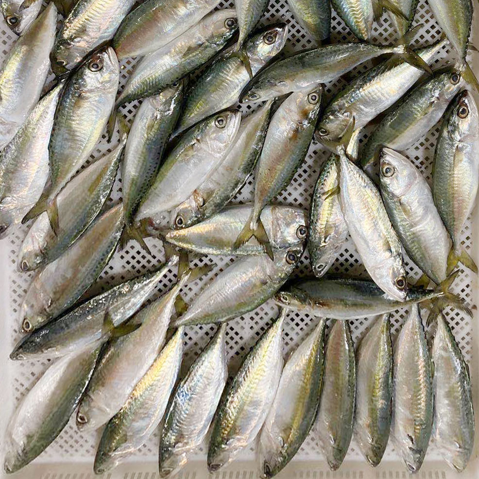 產(chǎn)品名稱